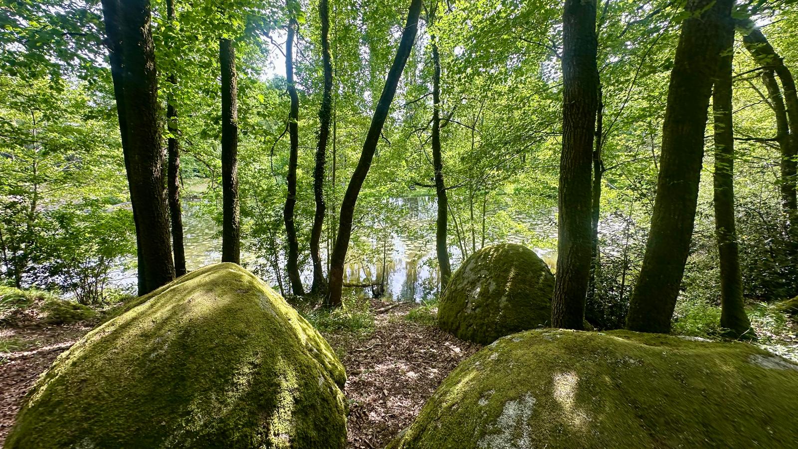 14 Juillet à Bois Pouvreau
